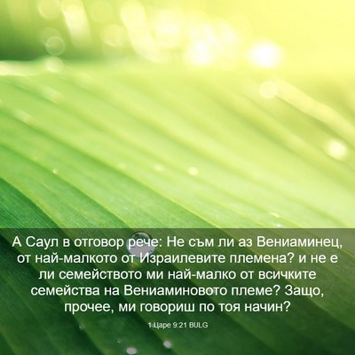 Picture 03 - 1 Царе 9:21 BULG - А Саул в отговор рече: Не - Bible Verse Picture