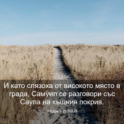 Picture 03 - 1 Царе 9:25 BULG - И като слязоха от високото - Bible Verse Picture