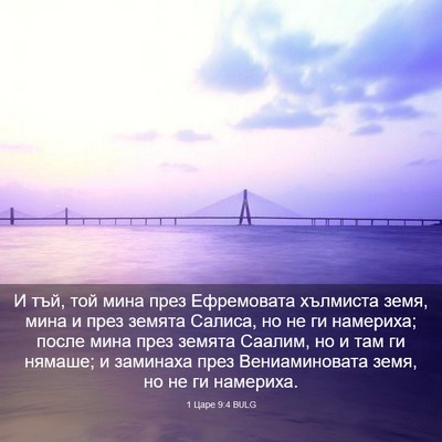 Picture 03 - 1 Царе 9:4 BULG - И тъй, той мина през - Bible Verse Picture