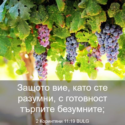 Picture 03 - 2 Коринтяни 11:19 BULG - Защото вие, като сте - Bible Verse Picture