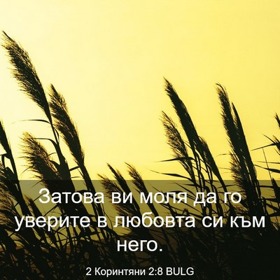 Picture 03 - 2 Коринтяни 2:8 BULG - Затова ви моля да го - Bible Verse Picture