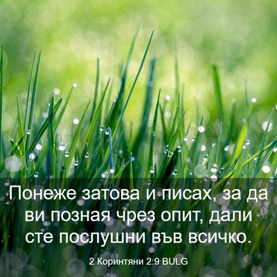 Picture 03 - 2 Коринтяни 2:9 BULG - Понеже затова и писах, за - Bible Verse Picture