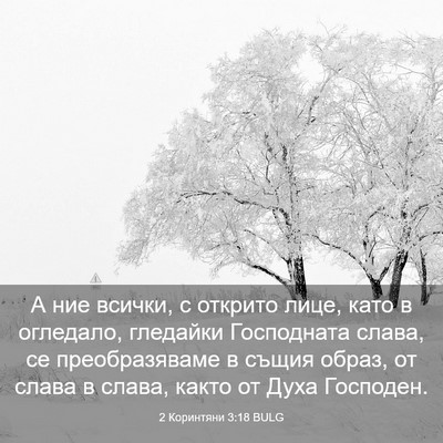Picture 03 - 2 Коринтяни 3:18 BULG - А ние всички, с открито - Bible Verse Picture