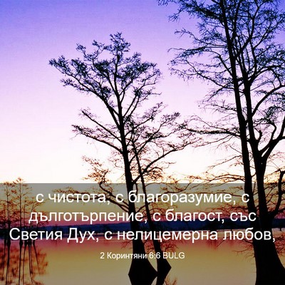 Picture 03 - 2 Коринтяни 6:6 BULG - с чистота, с благоразумие, - Bible Verse Picture