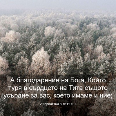 Picture 03 - 2 Коринтяни 8:16 BULG - А благодарение на Бога, - Bible Verse Picture