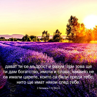 Picture 03 - 2 Летописи 1:12 BULG - дават ти се мъдрост и - Bible Verse Picture