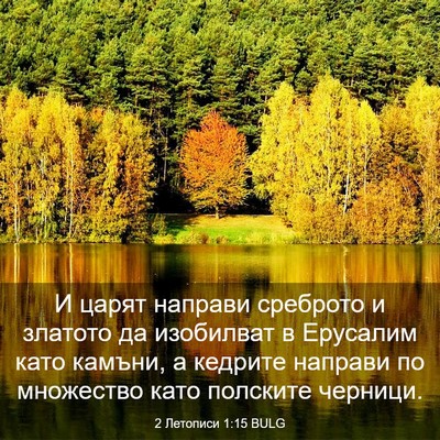 Picture 03 - 2 Летописи 1:15 BULG - И царят направи среброто и - Bible Verse Picture