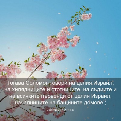 Picture 03 - 2 Летописи 1:2 BULG - Тогава Соломон говори на - Bible Verse Picture