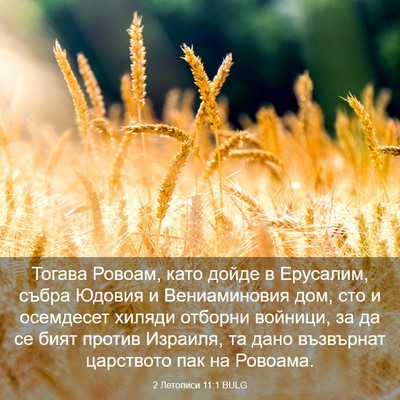Picture 03 - 2 Летописи 11:1 BULG - Тогава Ровоам, като дойде в - Bible Verse Picture
