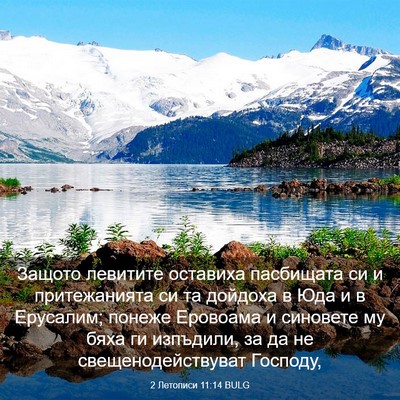 Picture 03 - 2 Летописи 11:14 BULG - Защото левитите оставиха - Bible Verse Picture