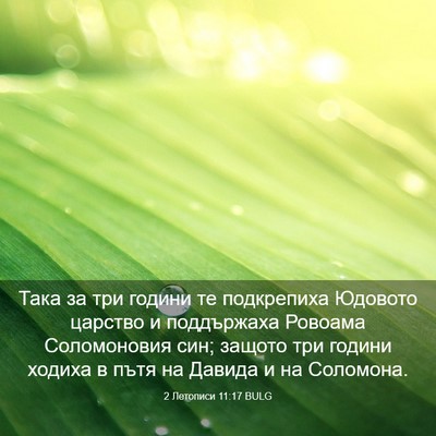 Picture 03 - 2 Летописи 11:17 BULG - Така за три години те - Bible Verse Picture