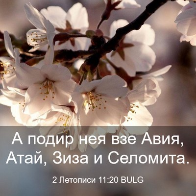 Picture 03 - 2 Летописи 11:20 BULG - А подир нея взе Авия, Атай, - Bible Verse Picture