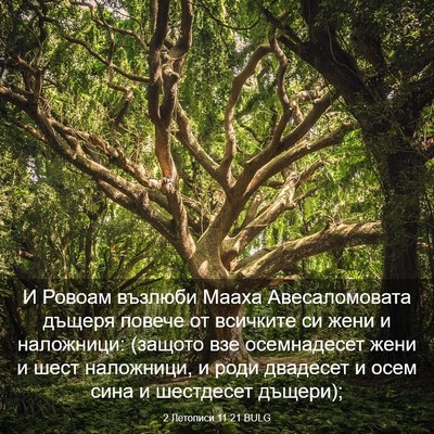 Picture 03 - 2 Летописи 11:21 BULG - И Ровоам възлюби Мааха - Bible Verse Picture