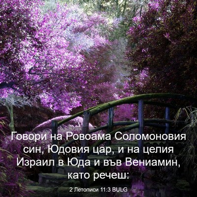 Picture 03 - 2 Летописи 11:3 BULG - Говори на Ровоама - Bible Verse Picture
