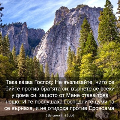 Picture 03 - 2 Летописи 11:4 BULG - Така казва Господ: Не - Bible Verse Picture