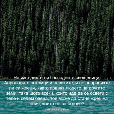 Picture 03 - 2 Летописи 13:9 BULG - Не изпъдихте ли Господните - Bible Verse Picture