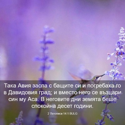Picture 03 - 2 Летописи 14:1 BULG - Така Авия заспа с бащите си - Bible Verse Picture