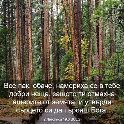 Picture 03 - 2 Летописи 19:3 BULG - Все пак, обаче, намериха се - Bible Verse Picture