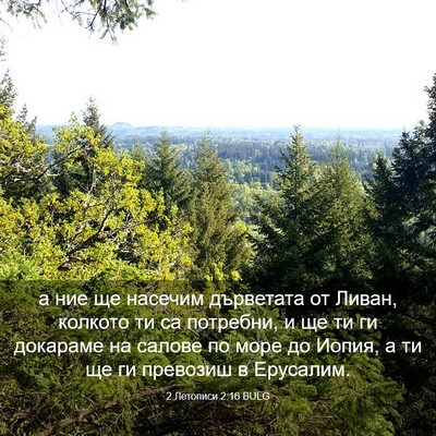 Picture 03 - 2 Летописи 2:16 BULG - а ние ще насечим дърветата - Bible Verse Picture