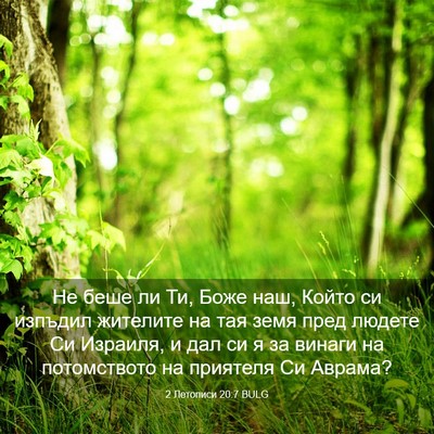 Picture 03 - 2 Летописи 20:7 BULG - Не беше ли Ти, Боже наш, - Bible Verse Picture
