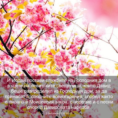 Picture 03 - 2 Летописи 23:18 BULG - И Иодай постави службите - Bible Verse Picture