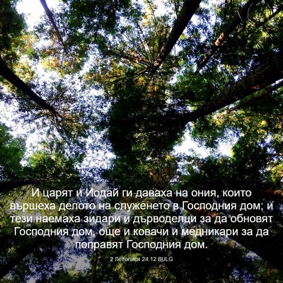 Picture 03 - 2 Летописи 24:12 BULG - И царят и Иодай ги даваха - Bible Verse Picture