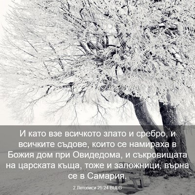 Picture 03 - 2 Летописи 25:24 BULG - И като взе всичкото злато и - Bible Verse Picture