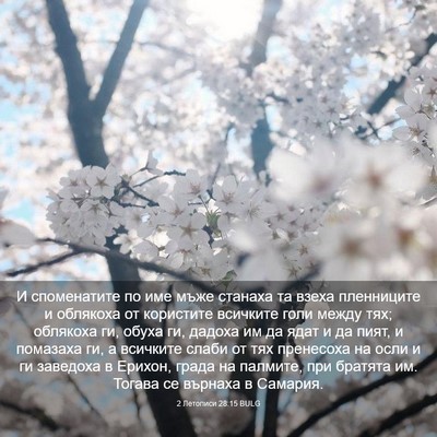Picture 03 - 2 Летописи 28:15 BULG - И споменатите по име мъже - Bible Verse Picture