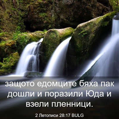Picture 03 - 2 Летописи 28:17 BULG - защото едомците бяха пак - Bible Verse Picture
