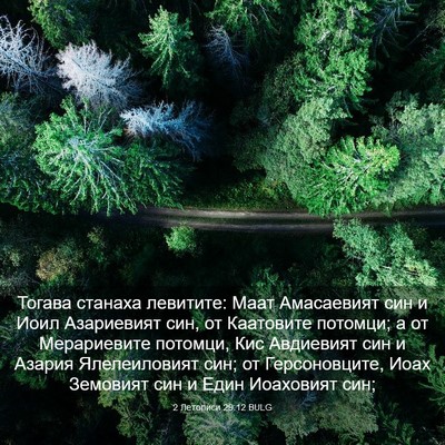 Picture 03 - 2 Летописи 29:12 BULG - Тогава станаха левитите: - Bible Verse Picture