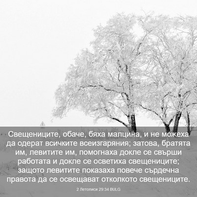 Picture 03 - 2 Летописи 29:34 BULG - Свещениците, обаче, бяха - Bible Verse Picture