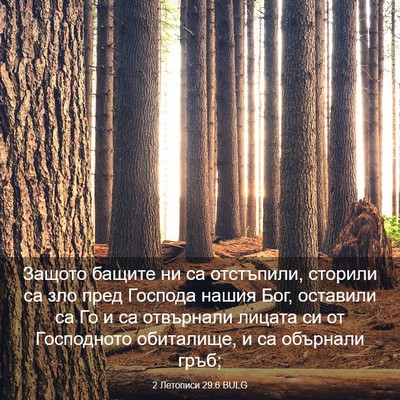 Picture 03 - 2 Летописи 29:6 BULG - Защото бащите ни са - Bible Verse Picture