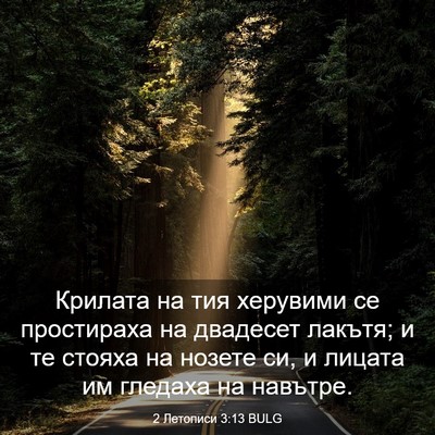 Picture 03 - 2 Летописи 3:13 BULG - Крилата на тия херувими се - Bible Verse Picture