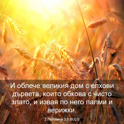 Picture 03 - 2 Летописи 3:5 BULG - И облече великия дом с - Bible Verse Picture