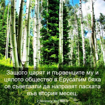 Picture 03 - 2 Летописи 30:2 BULG - Защото царят и първенците - Bible Verse Picture