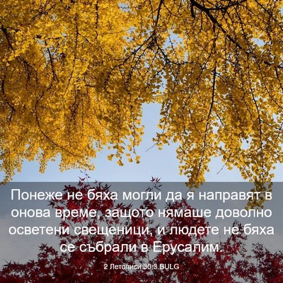 Picture 03 - 2 Летописи 30:3 BULG - Понеже не бяха могли да я - Bible Verse Picture
