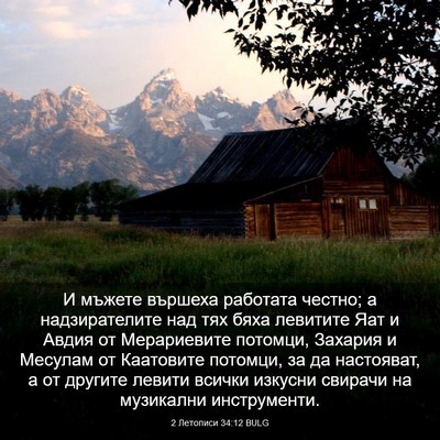 Picture 03 - 2 Летописи 34:12 BULG - И мъжете вършеха работата - Bible Verse Picture