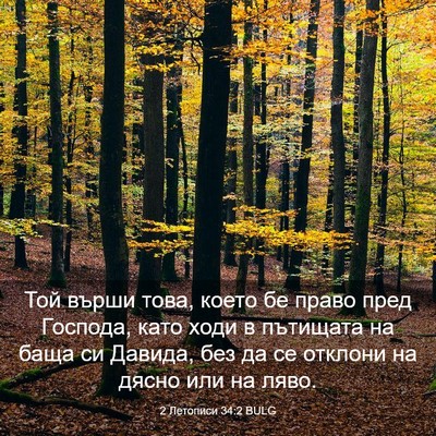 Picture 03 - 2 Летописи 34:2 BULG - Той върши това, което бе - Bible Verse Picture