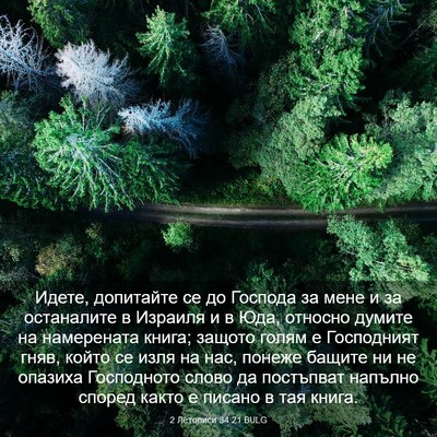 Picture 03 - 2 Летописи 34:21 BULG - Идете, допитайте се до - Bible Verse Picture