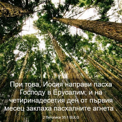 Picture 03 - 2 Летописи 35:1 BULG - При това, Иосия направи - Bible Verse Picture
