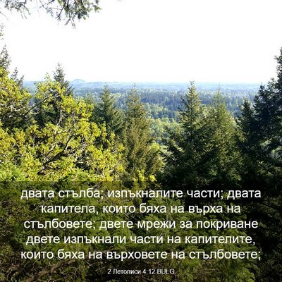 Picture 03 - 2 Летописи 4:12 BULG - двата стълба; изпъкналите - Bible Verse Picture