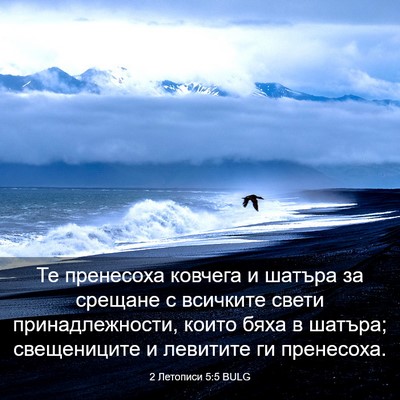Picture 03 - 2 Летописи 5:5 BULG - Те пренесоха ковчега и - Bible Verse Picture