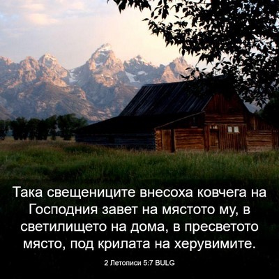 Picture 03 - 2 Летописи 5:7 BULG - Така свещениците внесоха - Bible Verse Picture