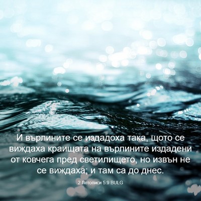 Picture 03 - 2 Летописи 5:9 BULG - И върлините се издадоха - Bible Verse Picture