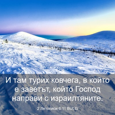 Picture 03 - 2 Летописи 6:11 BULG - И там турих ковчега, в - Bible Verse Picture