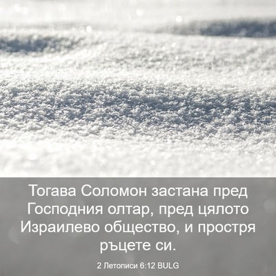 Picture 03 - 2 Летописи 6:12 BULG - Тогава Соломон застана - Bible Verse Picture