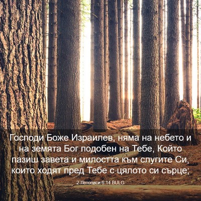 Picture 03 - 2 Летописи 6:14 BULG - Господи Боже Израилев, - Bible Verse Picture