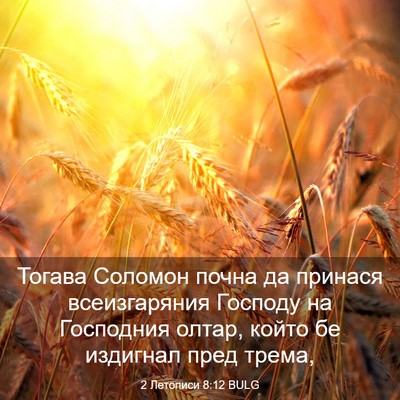Picture 03 - 2 Летописи 8:12 BULG - Тогава Соломон почна да - Bible Verse Picture