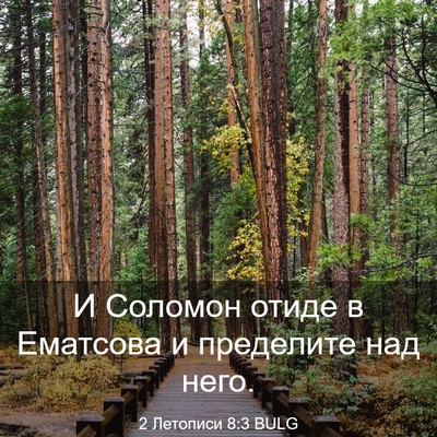 Picture 03 - 2 Летописи 8:3 BULG - И Соломон отиде в Ематсова - Bible Verse Picture