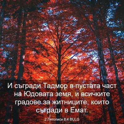 Picture 03 - 2 Летописи 8:4 BULG - И съгради Тадмор в пустата - Bible Verse Picture